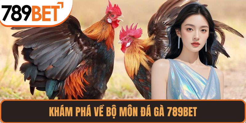 Khám phá về bộ môn đá gà 789BET